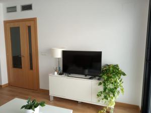 TV a/nebo společenská místnost v ubytování Apartamento Villa Pepita