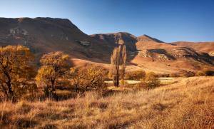 Gallery image of Dynasty Red Mountain Ranch in Clarens