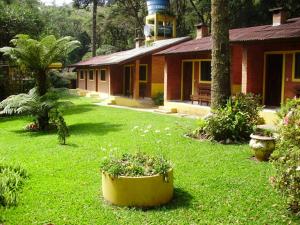 a house with a large yellow pot in the yard at Cháles Terra Nativa in Monte Verde
