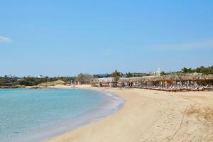 a beach with umbrellas and chairs and the ocean at White Dunes Luxury Boutique Hotel in Santa Maria