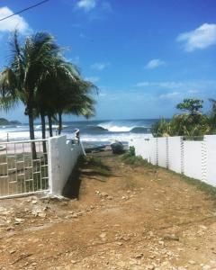 Transito的住宿－Bananoz Surfhouse，海滩上设有围栏和棕榈树,还有大海