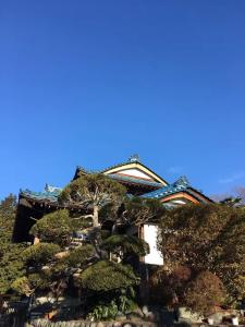 a pine tree in front of a building at Kougetsu Sanso -- Moon Villa in Tokyo in Hachioji