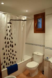 a bathroom with a toilet and a shower curtain at Duplex con vistas en Benasque in Benasque