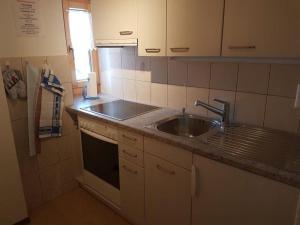 a kitchen with a sink and a counter top at Tga Mucki in Savognin