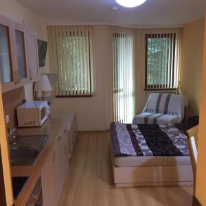 Afbeelding uit fotogalerij van Villa Park Luxury Studio in Borovets