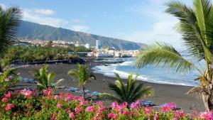 vistas a una playa con palmeras y al océano en Penthouse direkt am Meer, en Los Realejos