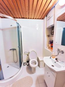 łazienka z prysznicem, toaletą i umywalką w obiekcie KK Apartments w Pradze +37 zdjęć