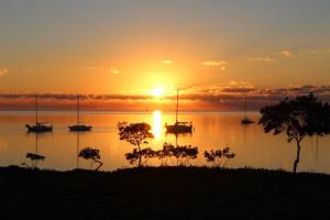 a group of boats in the water at sunset at LIC Mgr - LUXURIOUS 2 BED 3 BATH OCEANFRONT SUITE - UPSCALE OCEANFRONT RESORT - INDOOR PICKLEBALL - SPEAKEASY! in Key Largo