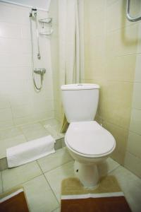ソロチャインにあるБаза відпочинку ЕЛЬДОРАДОのバスルーム(トイレ、シャワー付)