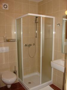 a bathroom with a shower with a toilet and a sink at B&B Janežič in Ljubljana