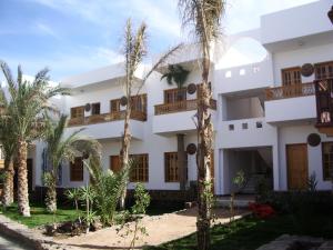 a building with palm trees in front of it at Star Of Dahab Hotel in Dahab