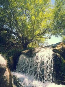 a painting of a waterfall next to a tree at Dimensión moonlight in La Falda