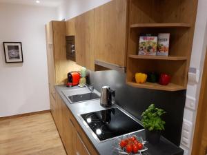 Kuchyň nebo kuchyňský kout v ubytování Engadin Lodge PREMIUM & PRIVATE