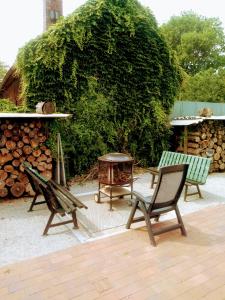 eine Terrasse mit 2 Stühlen, einem Tisch und einem Busch in der Unterkunft Ferienwohnung " Mondschein" Lausitzer Seenland- 80qm mit Garten in Drochow