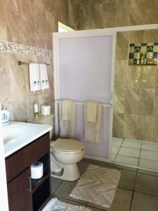 a bathroom with a toilet and a sink and a shower at Loft on the Pacific in La Union de Isidoro Montes de Oca