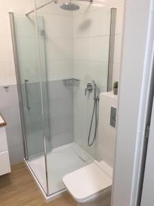 Ένα μπάνιο στο Apartament Gold Triventi +12 φωτογραφίες