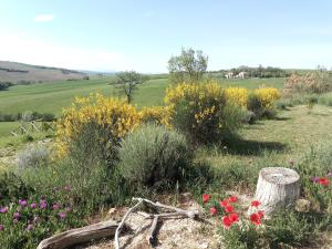 Galeriebild der Unterkunft Poggio delle Lavande in Montelupone + 136 Fotos