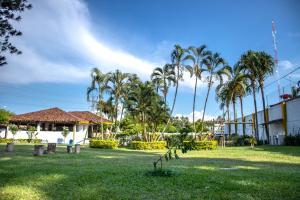 un parc avec des palmiers et un bâtiment dans l'établissement Hotel Villa Bosco, à Palmira