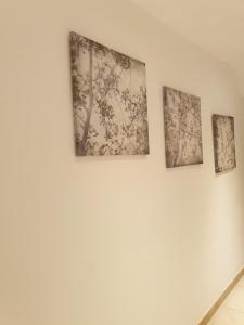 坎帕斯蒂利亚HOSTAL MARACAIBO的相册照片 更多17张照片