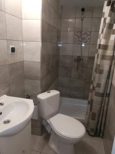 een badkamer met een toilet, een wastafel en een douche bij Pawilon 12 in Sulejów