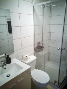 een badkamer met een douche, een toilet en een wastafel bij Cathedral Studio in Las Palmas de Gran Canaria
