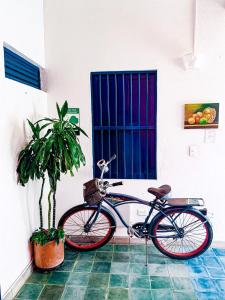 una bicicletta parcheggiata in una stanza con una pianta di Zana Hotel Boutique a Cartagena de Indias
