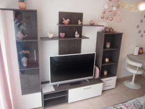 En tv och/eller ett underhållningssystem på Le Carré des oiseaux