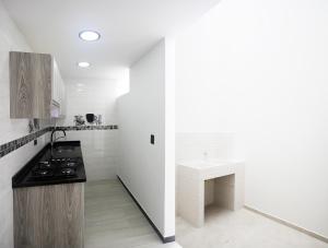 Kuchyň nebo kuchyňský kout v ubytování Hotel Palmi
