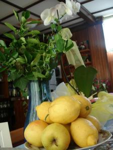 a plate of lemons and a vase with a bunch of flowers at Hotel Signorini in Castiglioncello