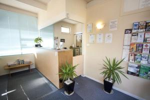 an office with two potted plants in a room at Parkville Motel in Melbourne +10 photos