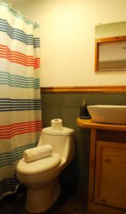a bathroom with a toilet and a shower curtain at Chucao Bosque y Cabañas in Chaitén