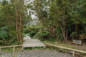 a wooden bridge in the middle of a forest at Chucao Bosque y Cabañas in Chaitén