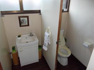 a small bathroom with a toilet and a sink at Lodge Stack Point in Narusawa