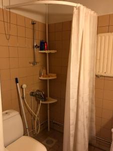 y baño con aseo y cortina de ducha. en Kontiomaki, en Kontiomäki