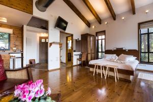 TV a/nebo společenská místnost v ubytování Ein Harod Country Lodge + 45 fotografií