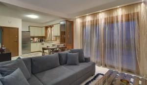 a living room with a gray couch and a kitchen at COUNTRY PLACE Apartment with mountains view in Ioannina