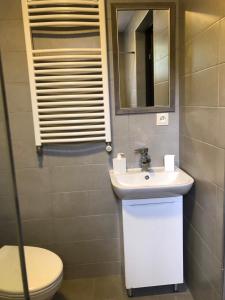 een badkamer met een wastafel, een toilet en een spiegel bij Bakuriani Cozy Villa #4 in Bakuriani +17 foto's