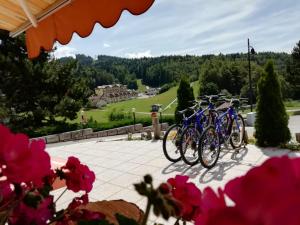 Jazda na bicykli v okolí ubytovania Residence Capriolo