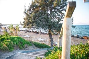 a beach with umbrellas and chairs and the ocean at Mastichari Bay Hotel in Mastihari