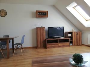 TV a/nebo společenská místnost v ubytování Ubytování v podkroví