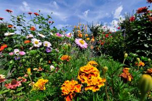 Φωτογραφία από το άλμπουμ του Pension Laurin σε Schenna