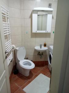 a bathroom with a toilet and a sink at Cozy studio Belgrade (Zemun) in Belgrade