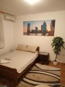 a bedroom with a bed and a painting on the wall at Cozy studio Belgrade (Zemun) in Belgrade