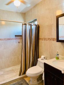 a bathroom with a toilet and a shower and a sink at Suites Fenicia in Playa del Carmen