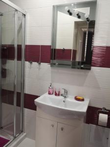 a bathroom with a sink and a shower and a mirror at Apartament Detka in Nowy Targ