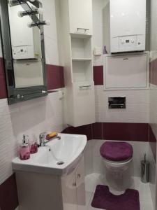 a bathroom with a sink and a toilet and a mirror at Apartament Detka in Nowy Targ