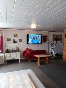 莫特的住宿－Ferienwohnungen Kilger，带沙发和平面电视的客厅