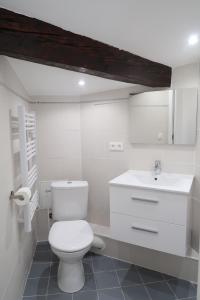 une salle de bains blanche avec toilettes et lavabo dans l'établissement La Terrasse de Wilson, à Toulouse