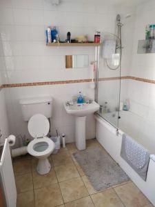 a bathroom with a toilet and a sink at Mountjoy House in Derry Londonderry