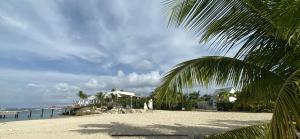 a palm tree on a sandy beach near the ocean at Heywoods Villa in Saint Peter
